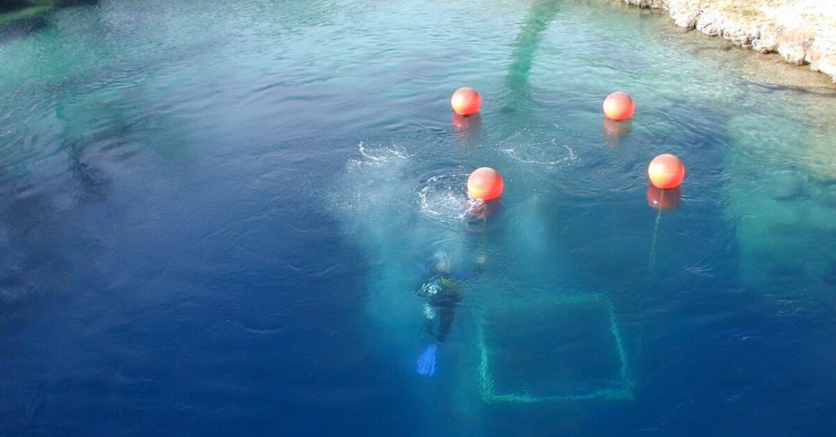 Cave Diving Horror Stories